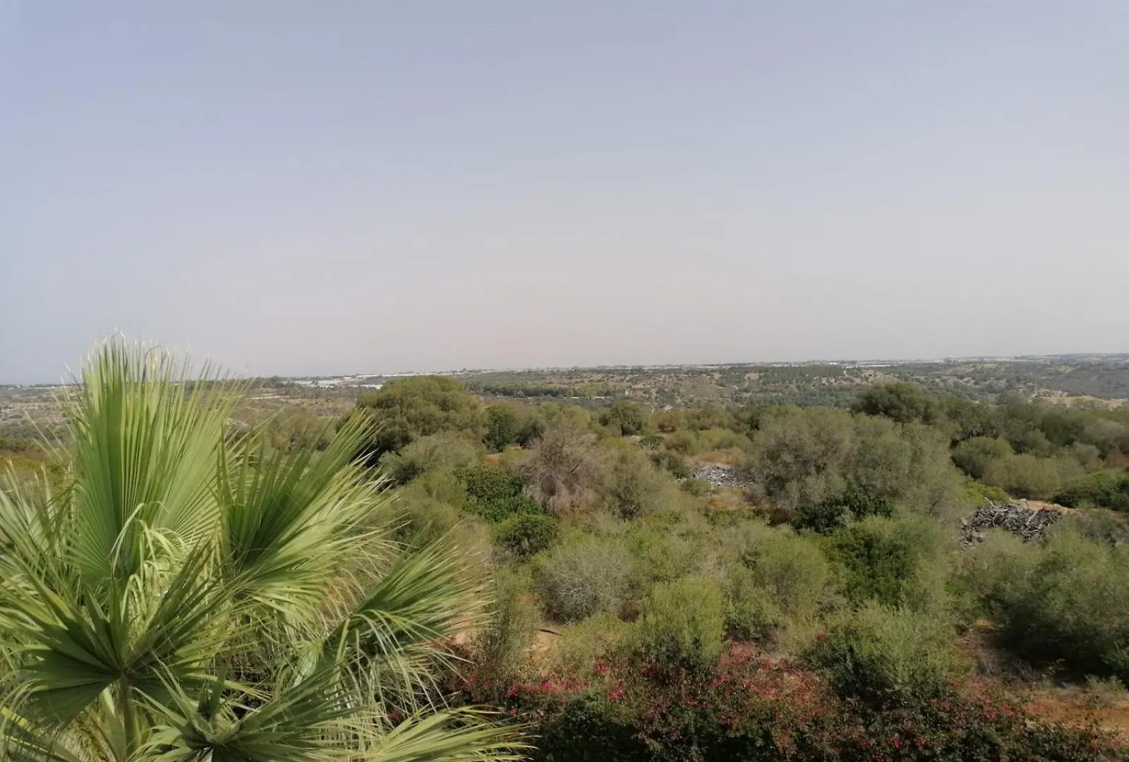 Casa Vacanze Ippari & Oanis Villa Ragusa Italy